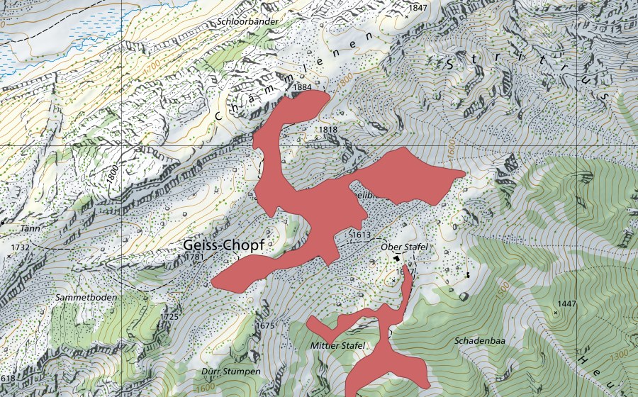 swisstopo national map showing the protected perimeter of Chämmenen (Dry meadow)