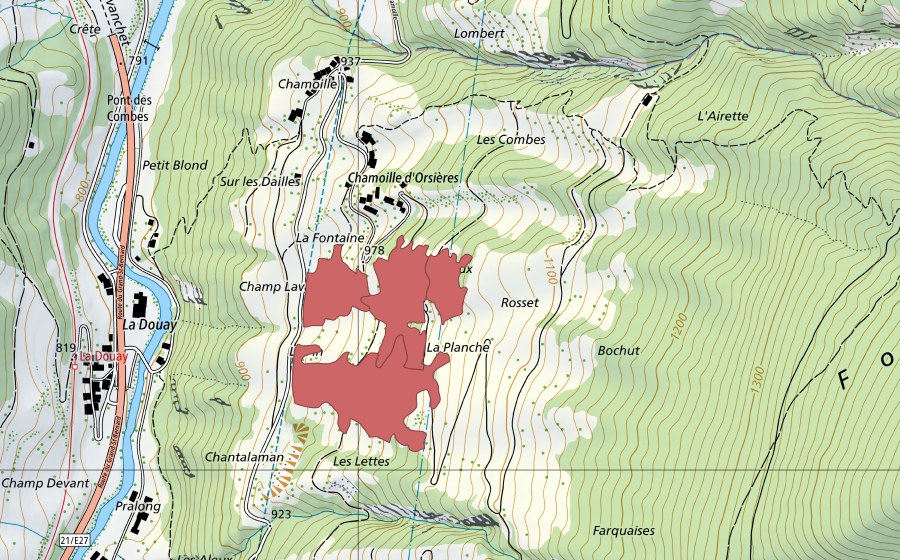 swisstopo national map showing the protected perimeter of Chamoille d'Orsières (Dry meadow)