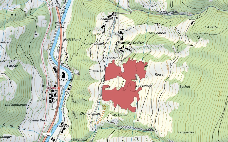 Landeskarte swisstopo mit dem Schutzperimeter von Chamoille d'Orsières (Trockenwiese)