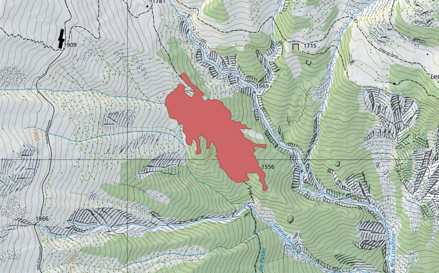 swisstopo national map showing the protected perimeter of Chamosentze (Dry meadow)