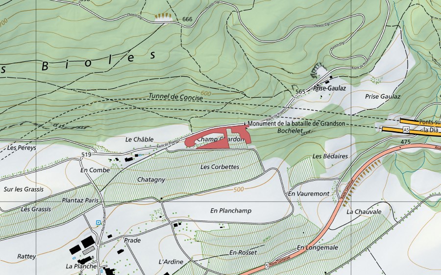 Carte nationale swisstopo avec le périmètre protégé de Champ Cherdon (Prairie sèche)