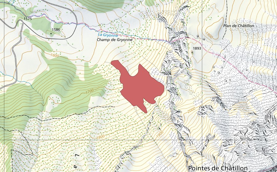 Carta nazionale swisstopo con il perimetro protetto di Champ de Gryonne (Prato secco)