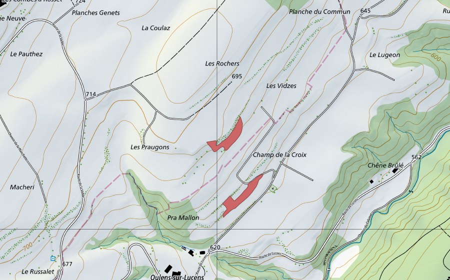 Landeskarte swisstopo mit dem Schutzperimeter von Champ de la Croix (Trockenwiese)