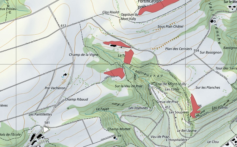 Landeskarte swisstopo mit dem Schutzperimeter von Champ Ribaud (Trockenwiese)