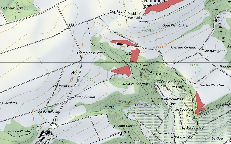 Carte nationale swisstopo avec le périmètre protégé de Champ Ribaud (Prairie sèche)