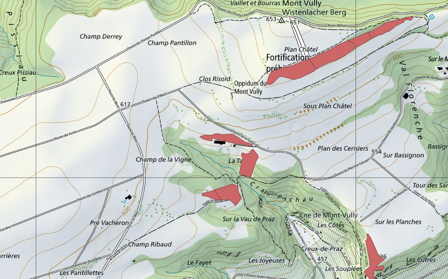 Landeskarte swisstopo mit dem Schutzperimeter von Champ Ribaud (Trockenwiese)