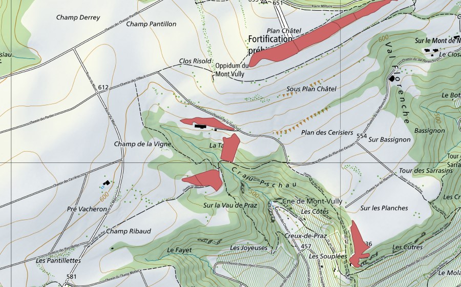 swisstopo national map showing the protected perimeter of Champ Ribaud (Dry meadow)