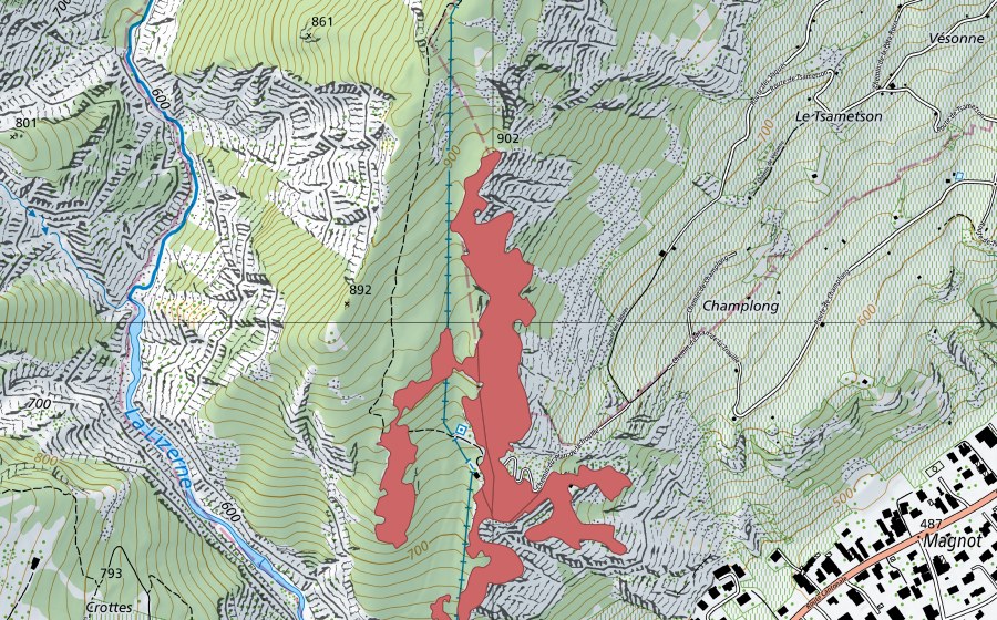 Landeskarte swisstopo mit dem Schutzperimeter von Champlong (Trockenwiese)