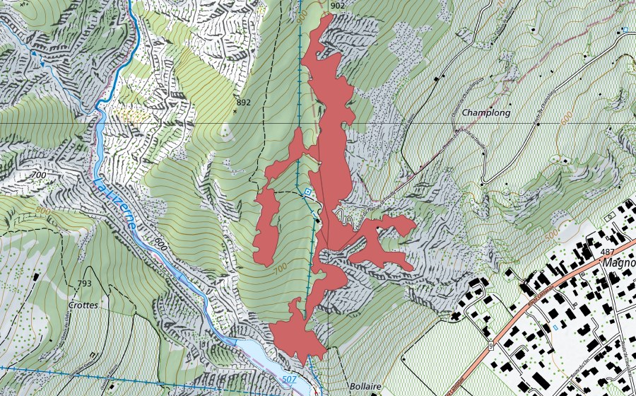 Carta nazionale swisstopo con il perimetro protetto di Champlong (Prato secco)