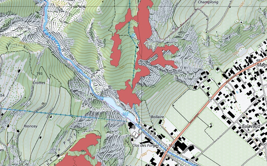 Carte nationale swisstopo avec le périmètre protégé de Champlong (Prairie sèche)