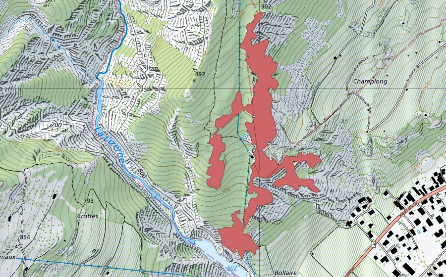 swisstopo national map showing the protected perimeter of Champlong (Dry meadow)