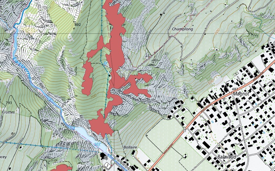 Carte nationale swisstopo avec le périmètre protégé de Champlong (Prairie sèche)