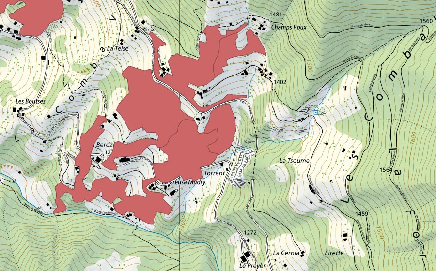 swisstopo national map showing the protected perimeter of Champroux (Dry meadow)