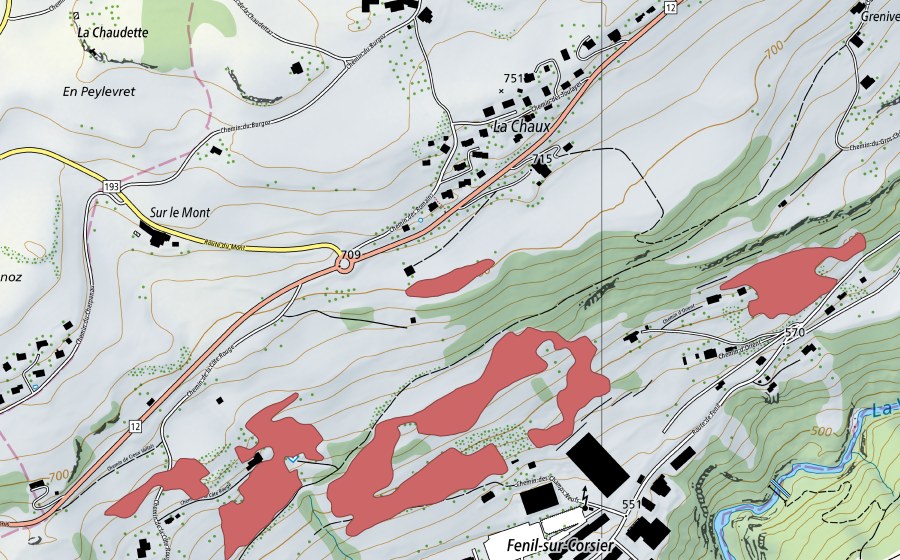 Landeskarte swisstopo mit dem Schutzperimeter von Champs Neufs (Trockenwiese)