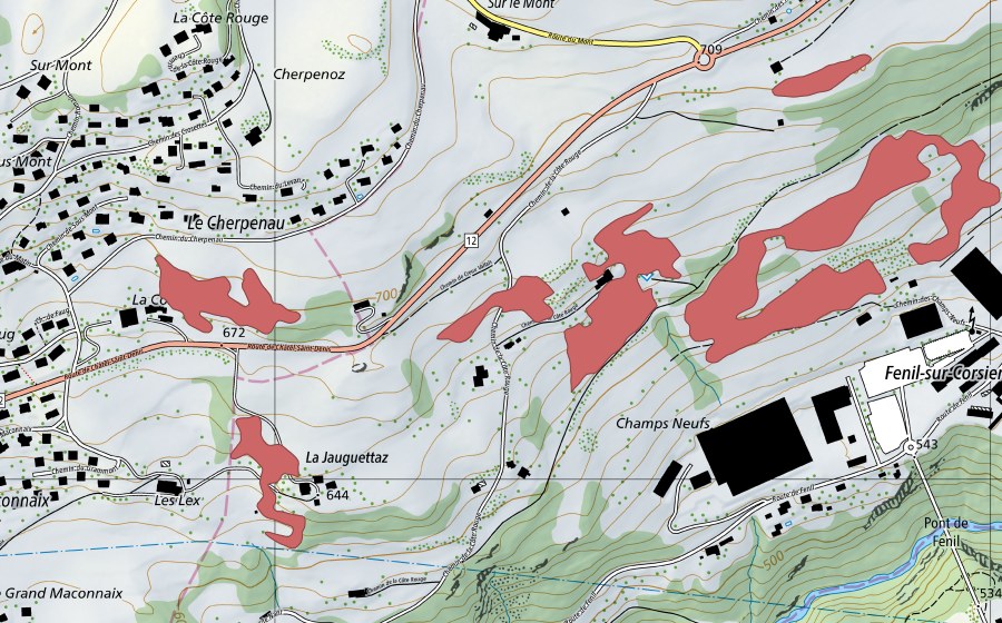 Carte nationale swisstopo avec le périmètre protégé de Champs Neufs (Prairie sèche)