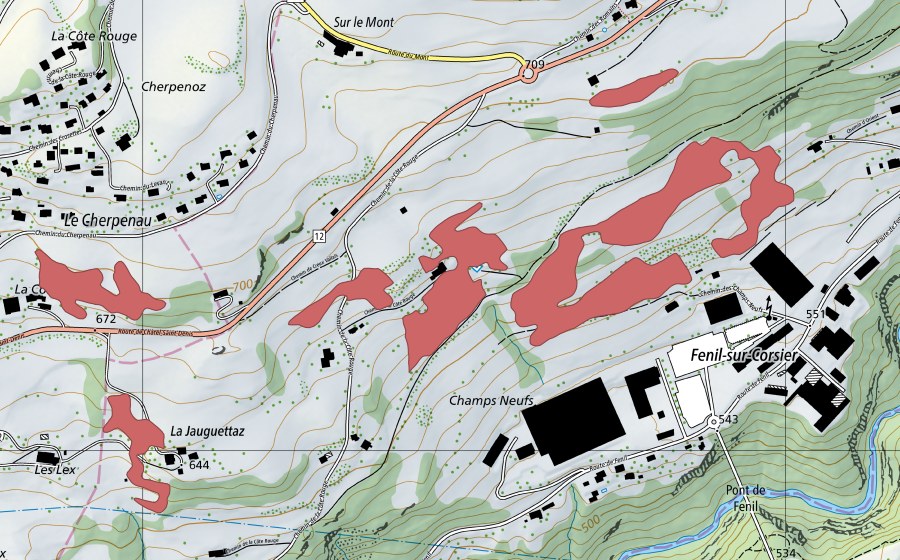 swisstopo national map showing the protected perimeter of Champs Neufs (Dry meadow)