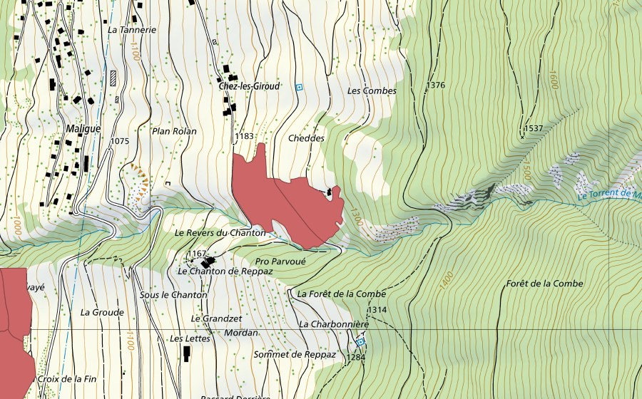 swisstopo national map showing the protected perimeter of Chanton de Reppaz (Dry meadow)