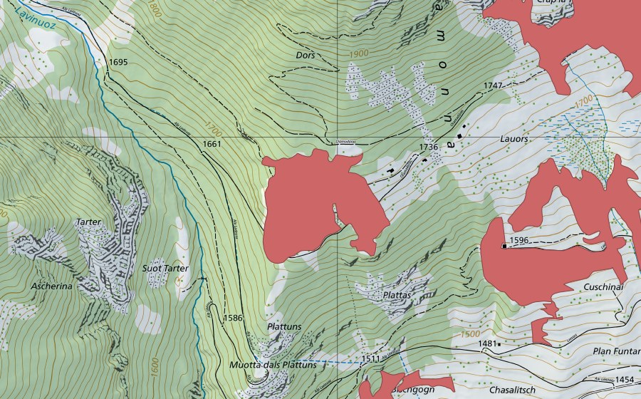 Landeskarte swisstopo mit dem Schutzperimeter von Charnadüras (Trockenwiese)