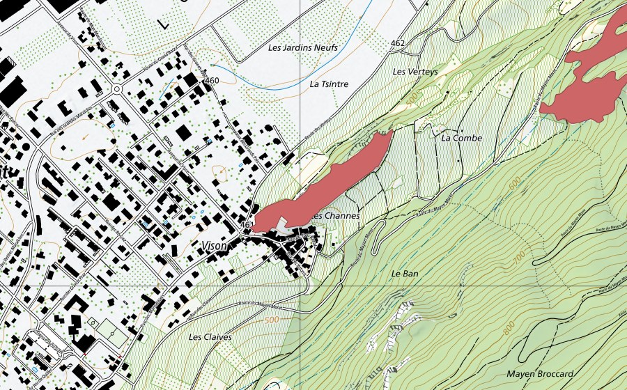 Landeskarte swisstopo mit dem Schutzperimeter von Charrat Vison (Trockenwiese)