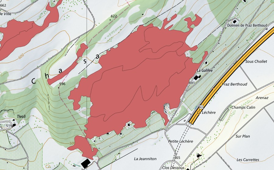 swisstopo national map showing the protected perimeter of Chassagne (Dry meadow)