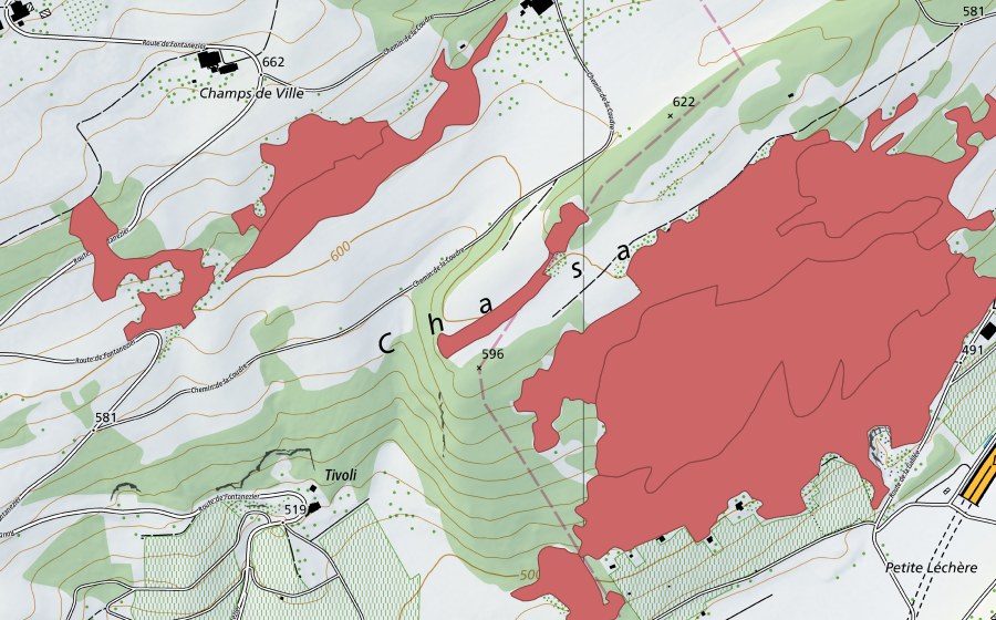 Landeskarte swisstopo mit dem Schutzperimeter von Chassagne (Trockenwiese)