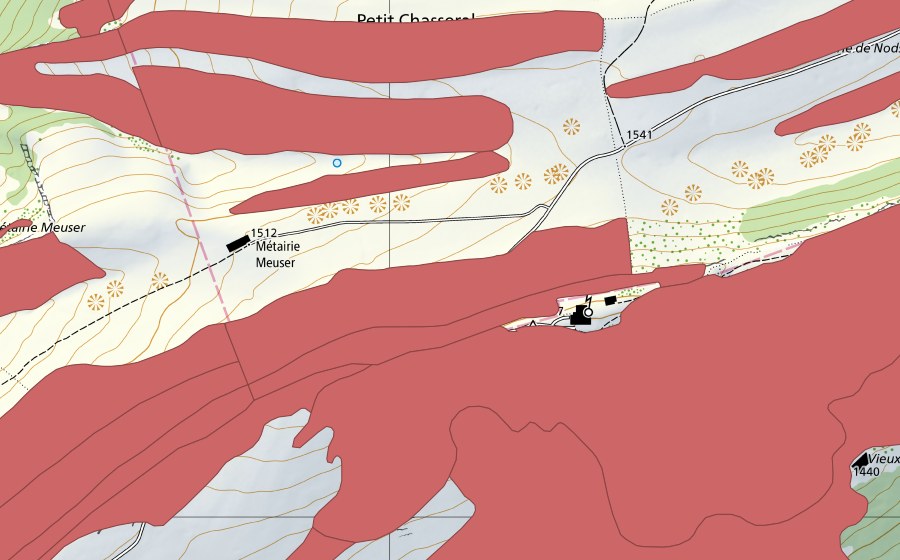 swisstopo national map showing the protected perimeter of Chasseral (Dry meadow)