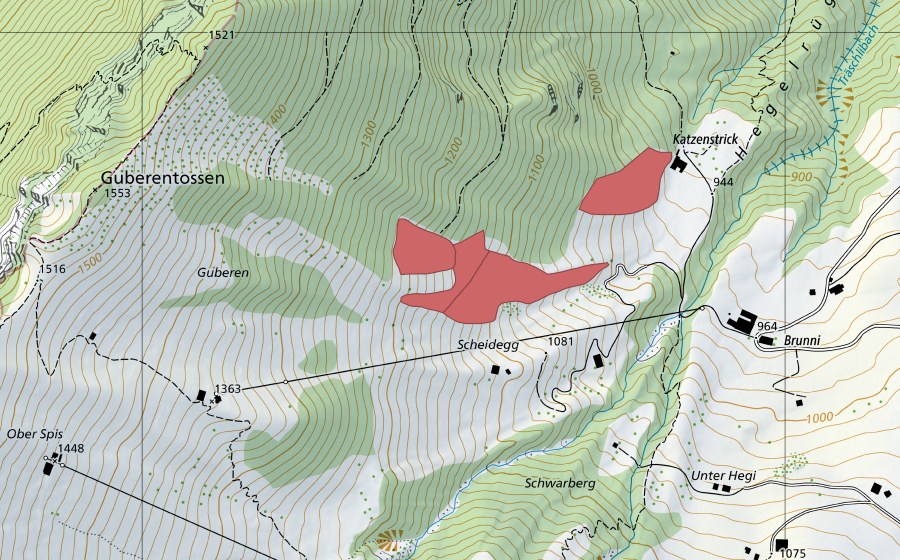 swisstopo national map showing the protected perimeter of Chatzenstrick (Dry meadow)