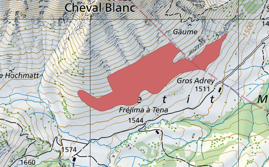 swisstopo national map showing the protected perimeter of Chaux du Lapé (Dry meadow)