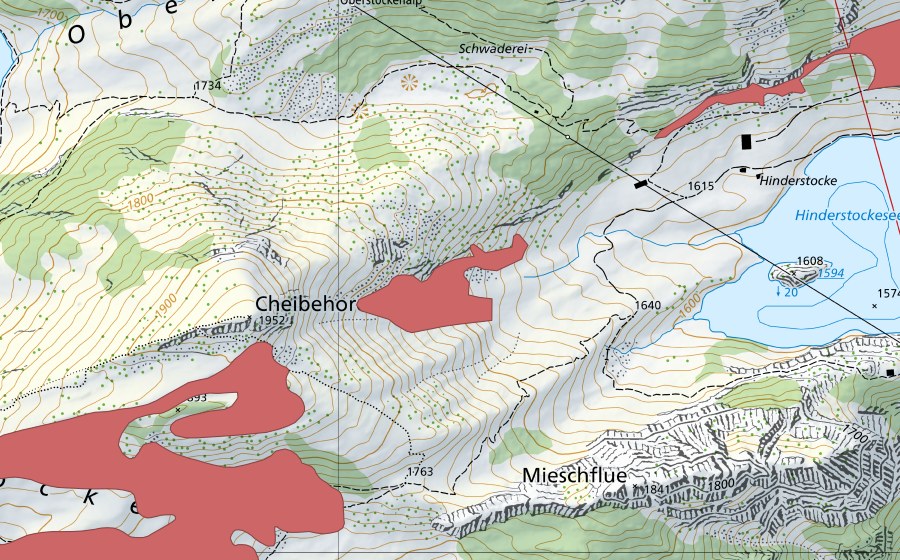 Landeskarte swisstopo mit dem Schutzperimeter von Cheibehore (Trockenwiese)