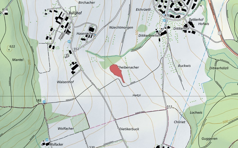 swisstopo national map showing the protected perimeter of Cheibenacher (Dry meadow)