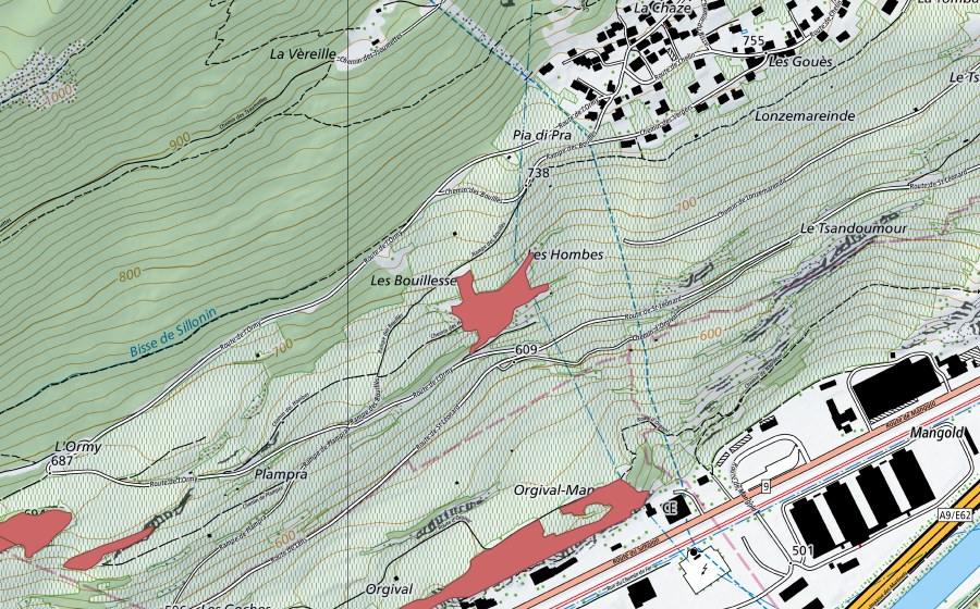 Carte nationale swisstopo avec le périmètre protégé de Chelin (Prairie sèche)
