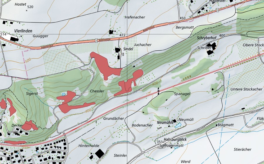 swisstopo national map showing the protected perimeter of Chessler (Dry meadow)