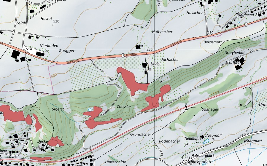 swisstopo national map showing the protected perimeter of Chessler (Dry meadow)