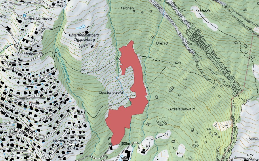 swisstopo national map showing the protected perimeter of Chestenenweid (Dry meadow)