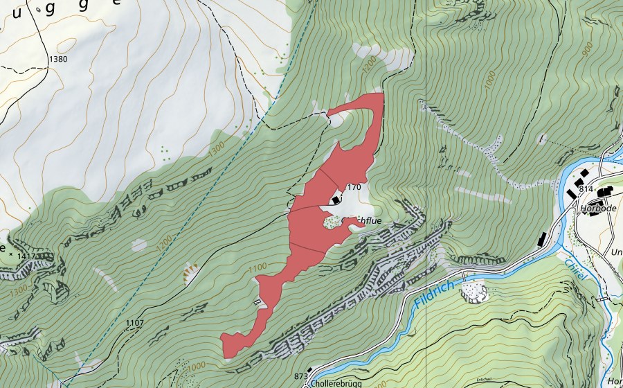 swisstopo national map showing the protected perimeter of Chilchflue (Dry meadow)