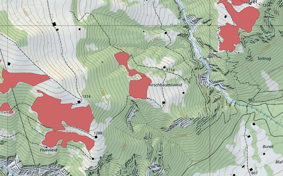 Landeskarte swisstopo mit dem Schutzperimeter von Chirschbäumliweid (Trockenwiese)