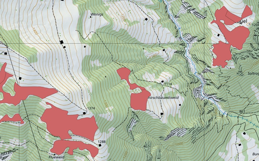 swisstopo national map showing the protected perimeter of Chirschbäumliweid (Dry meadow)