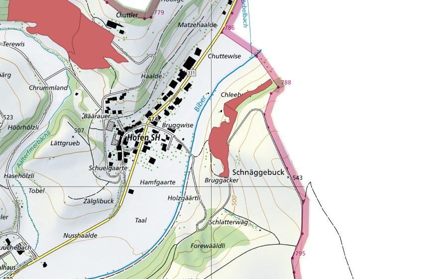swisstopo national map showing the protected perimeter of Chleebuck (Dry meadow)