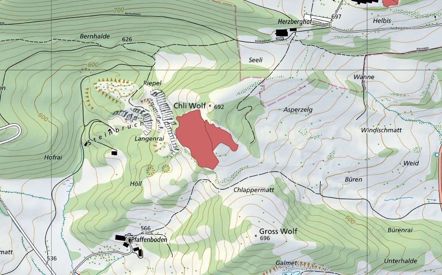 Carte nationale swisstopo avec le périmètre protégé de Chli Wolf (Prairie sèche)