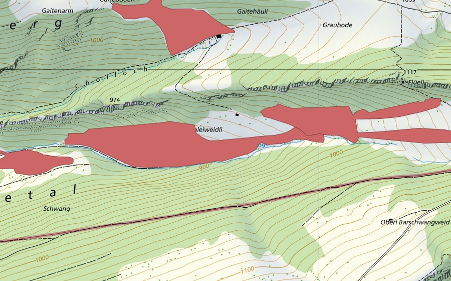Landeskarte swisstopo mit dem Schutzperimeter von Chliweidli (Trockenwiese)