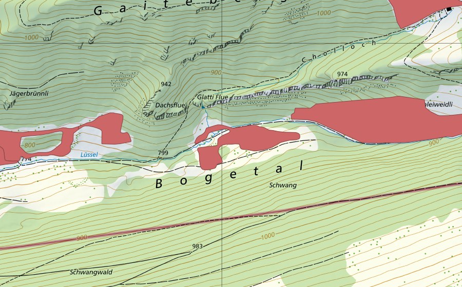 swisstopo national map showing the protected perimeter of Chliweidli (Dry meadow)