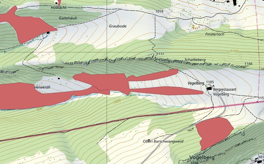 swisstopo national map showing the protected perimeter of Chliweidli (Dry meadow)