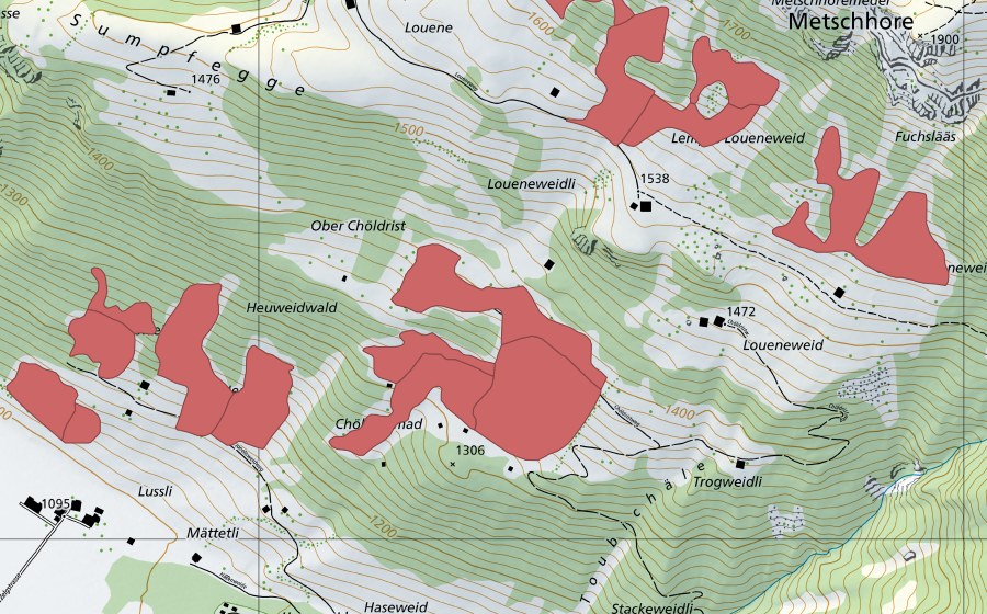 swisstopo national map showing the protected perimeter of Chöldrist (Dry meadow)