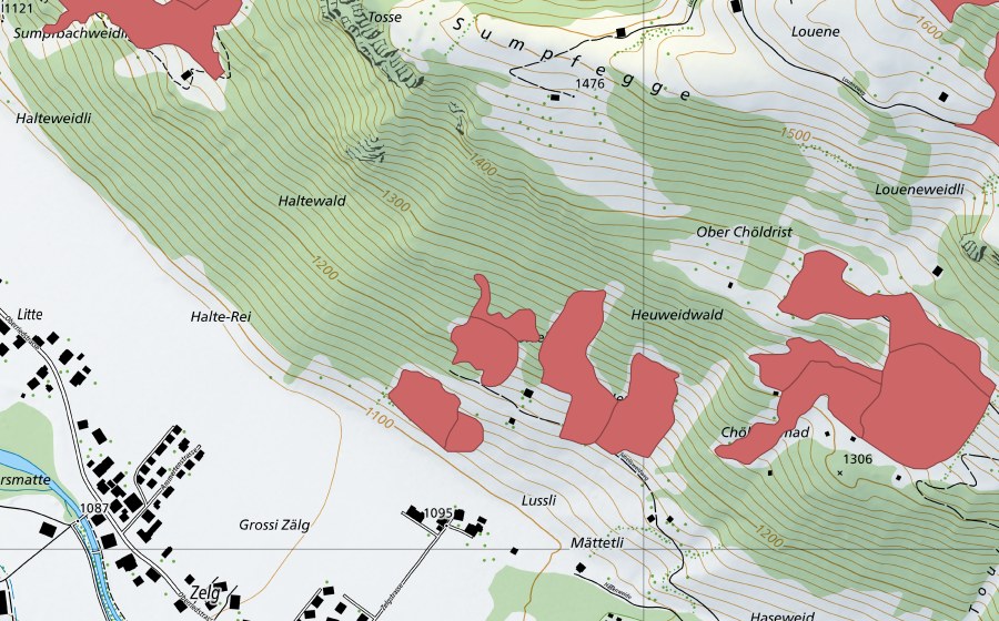 swisstopo national map showing the protected perimeter of Chöldrist (Dry meadow)