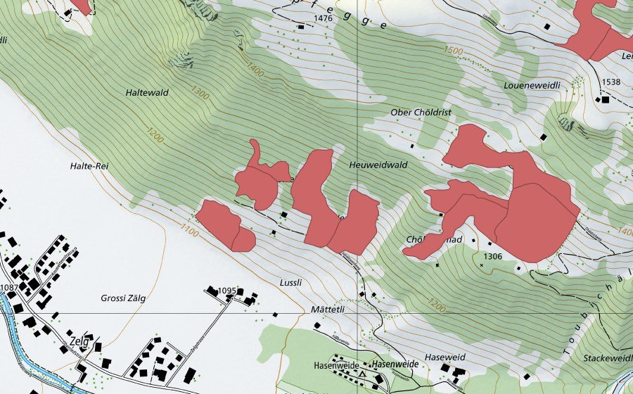 Carte nationale swisstopo avec le périmètre protégé de Chöldrist (Prairie sèche)