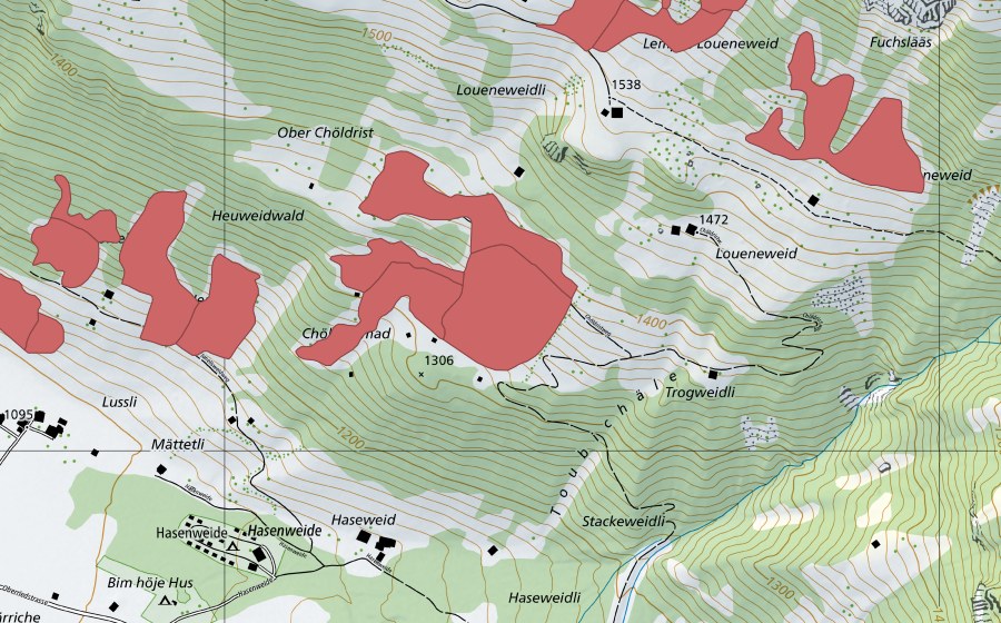 swisstopo national map showing the protected perimeter of Chöldrist (Dry meadow)