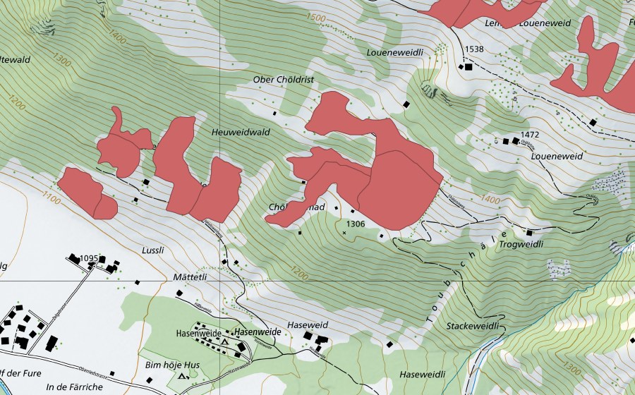 swisstopo national map showing the protected perimeter of Chöldrist (Dry meadow)