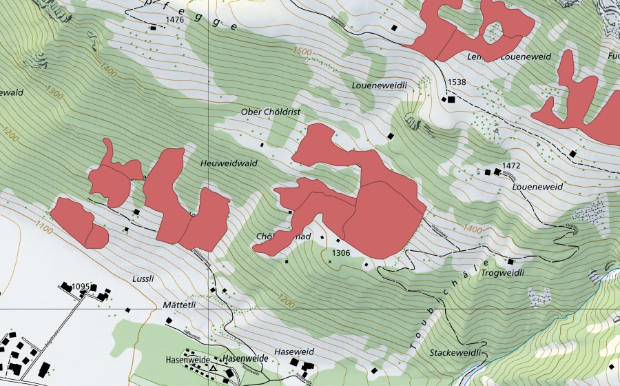 Carte nationale swisstopo avec le périmètre protégé de Chöldrist (Prairie sèche)
