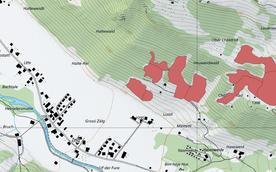 swisstopo national map showing the protected perimeter of Chöldrist (Dry meadow)