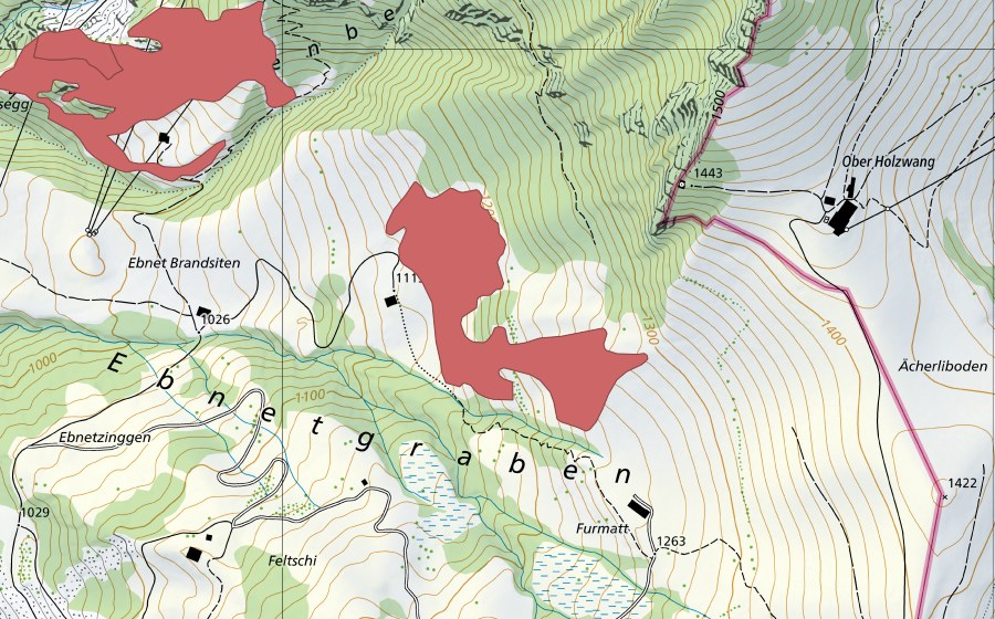 swisstopo national map showing the protected perimeter of Choleren (Dry meadow)